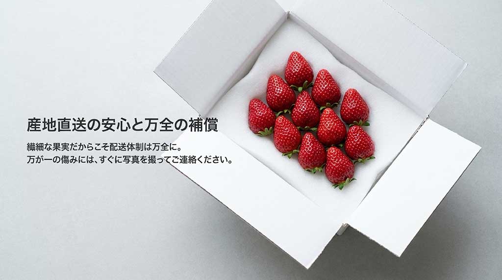 繊細な果実を守る配送体制と、傷みがあった際の連絡方法についての案内スライド