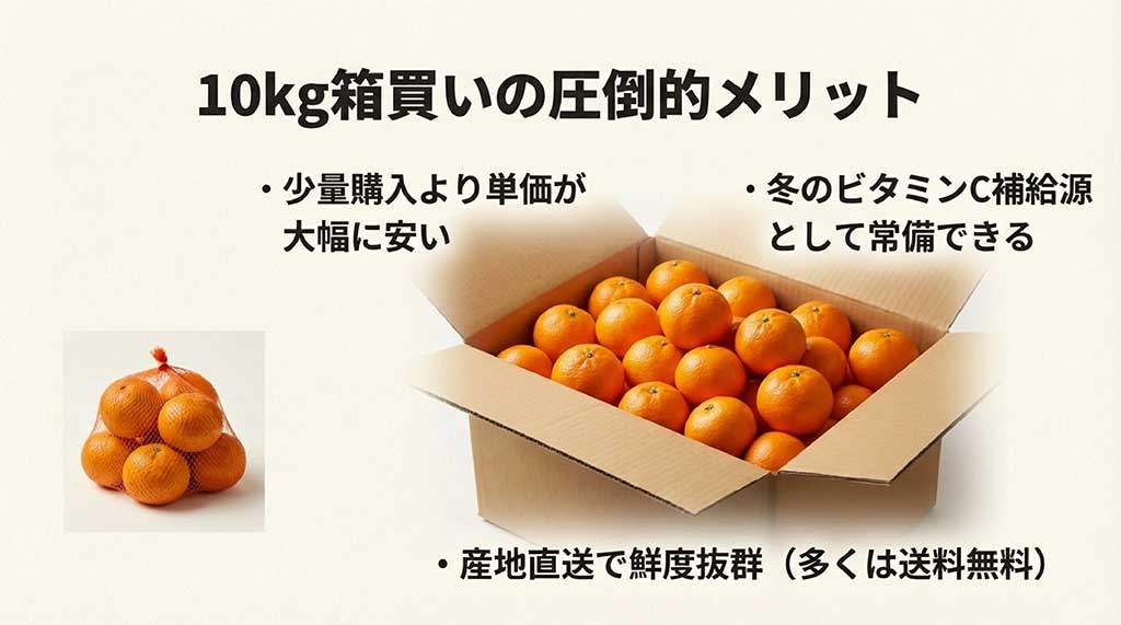 段ボールに詰まった大量の愛媛みかんと、単価の安さや鮮度の良さを説明するスライド