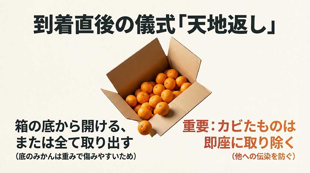 みかん箱を底から開ける、または全て取り出して傷んだものを除去する手順の図解