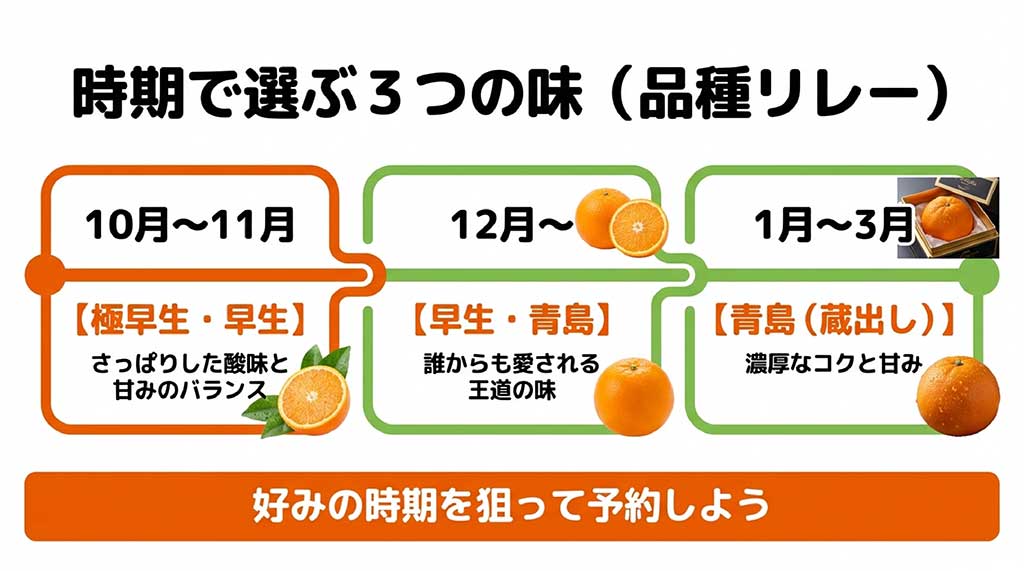 10月から3月にかけて、極早生・早生から濃厚な青島みかんへと続く味の変化と収穫時期の解説図