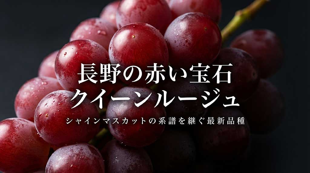 長野県の赤い宝石、最新品種ぶどう「クイーンルージュ」の紹介スライド