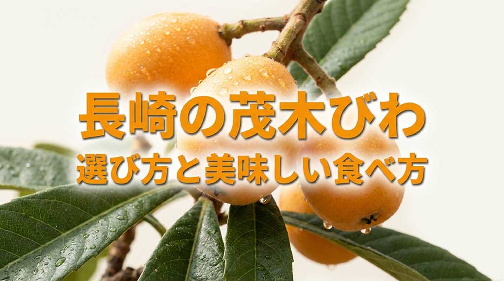 長崎の茂木びわ：選び方と美味しい食べ方のガイドスライド表紙
