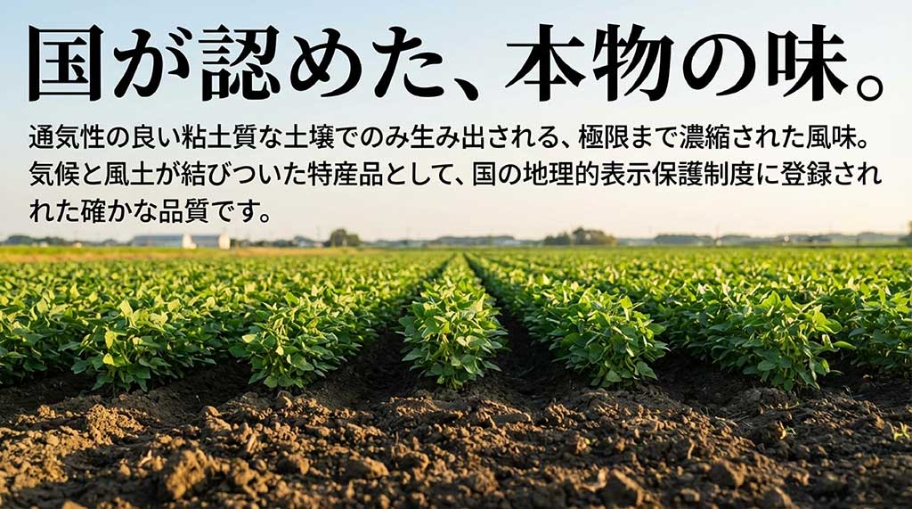 国の地理的表示保護制度(GI)に登録された確かな品質と、粘土質な土壌が生む風味の解説