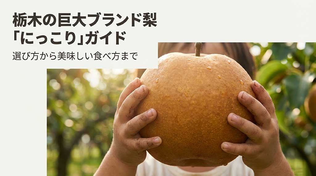 栃木の巨大ブランド梨「にっこり」の選び方から美味しい食べ方までを解説するガイドの表紙画像