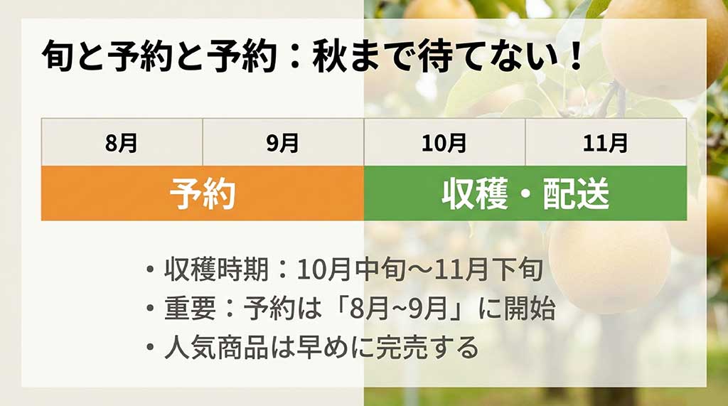 8〜9月に予約開始、10月中旬〜11月下旬に収穫、11月に配送というスケジュールを示す年間カレンダー