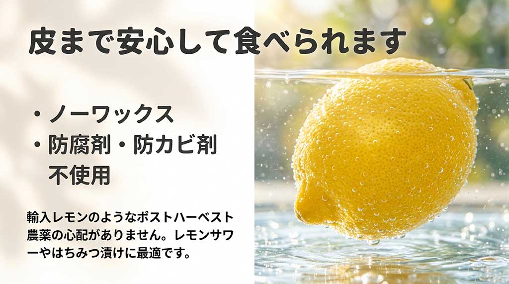 ポストハーベスト農薬の心配がなく皮まで安心して食べられる理由