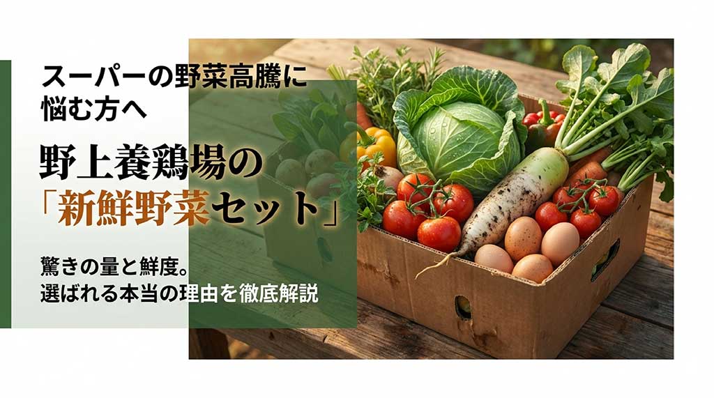 野上養鶏場の新鮮野菜セットを紹介するスライド。段ボールに入った新鮮な野菜と卵の画像と共に「驚きの量と鮮度。選ばれる本当の理由を徹底解説」という文字が記載されている