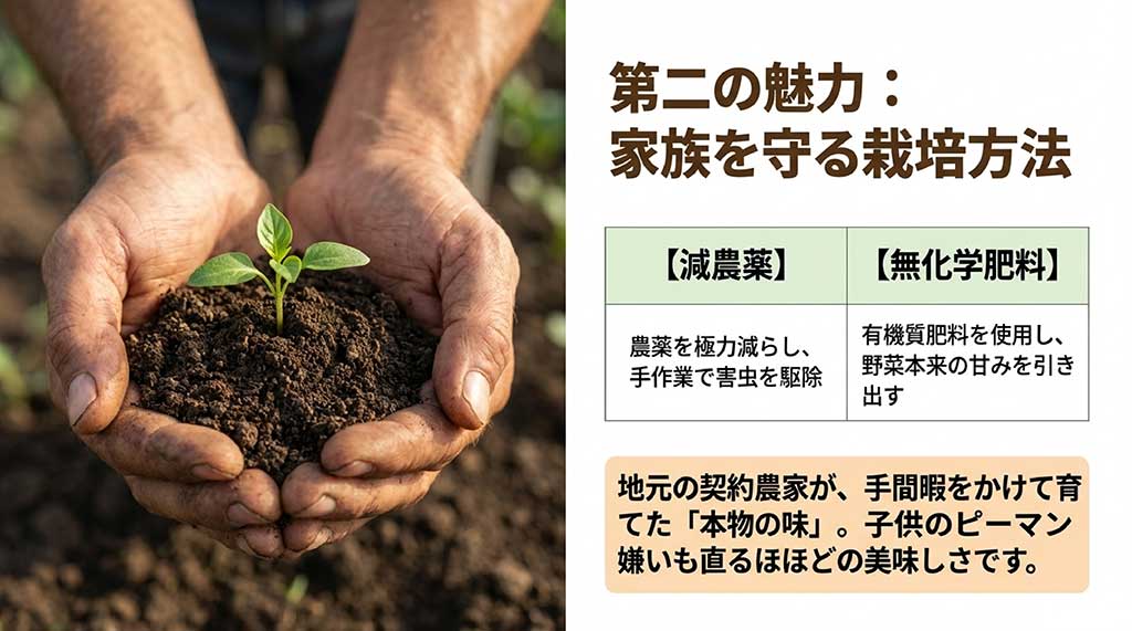 手作業での害虫駆除による減農薬、有機質肥料を用いた無化学肥料栽培で野菜本来の甘みを引き出していることを説明するスライド