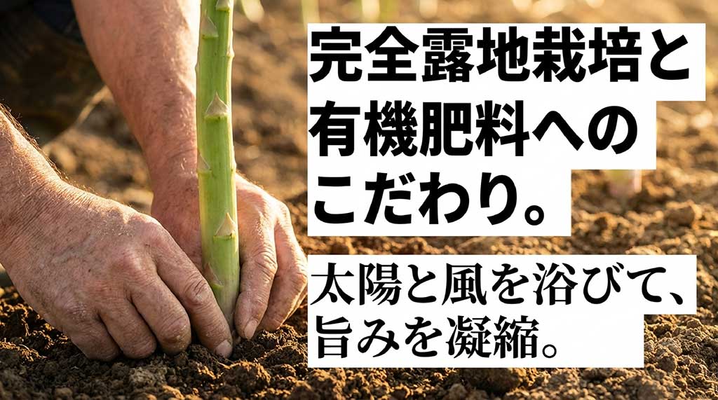 太陽と風を浴びて旨みを凝縮させる、完全露地栽培と有機肥料の解説