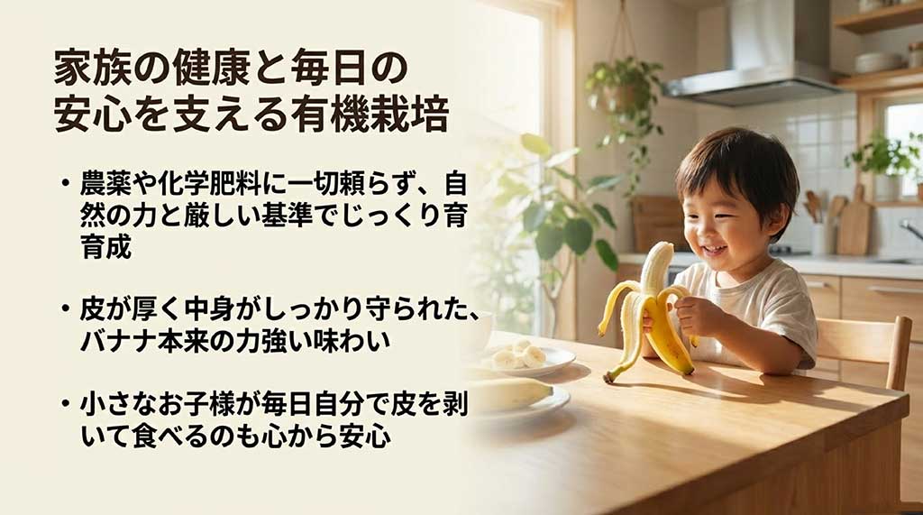農薬・化学肥料不使用の厳しい基準で育てられた有機栽培バナナの安心感を説明するスライド