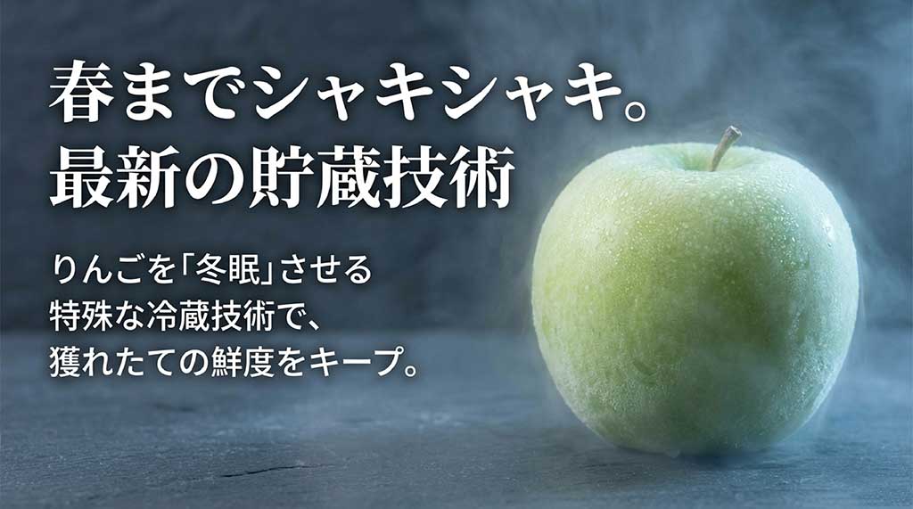 特殊な冷蔵技術でりんごを冬眠させ、春までシャキシャキの鮮度をキープできることを説明するスライド