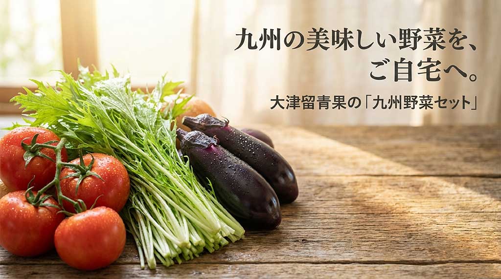 「九州の美味しい野菜を、ご自宅へ。」というメッセージと、大津留青果の九州野菜セットの紹介