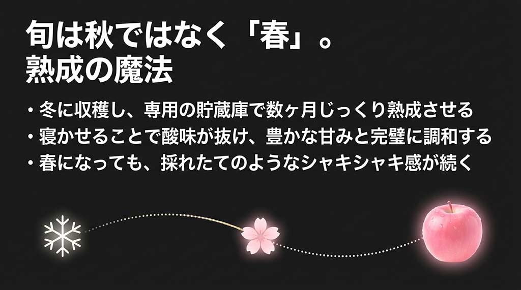 冬に収穫し貯蔵庫で熟成させることで、春に酸味と甘みが調和する仕組みを説明するスライド