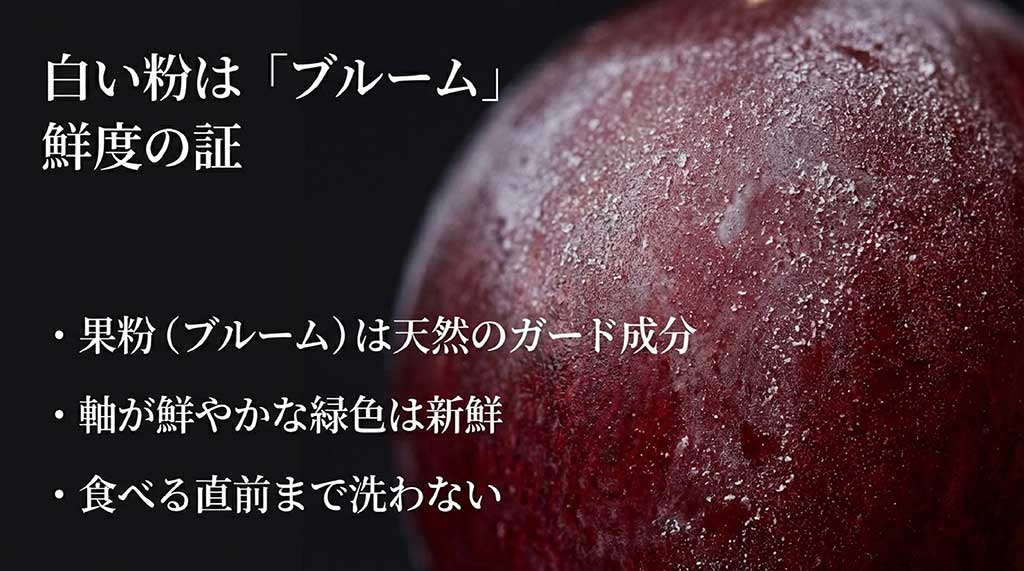 新鮮さの証である白い粉「ブルーム」と緑色の軸、鮮度の見分け方のポイント