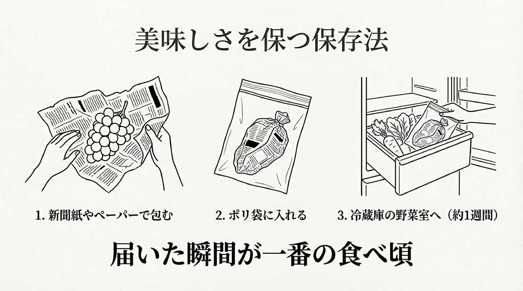 新聞紙で包みポリ袋に入れて冷蔵庫の野菜室で保存する手順のイラスト
