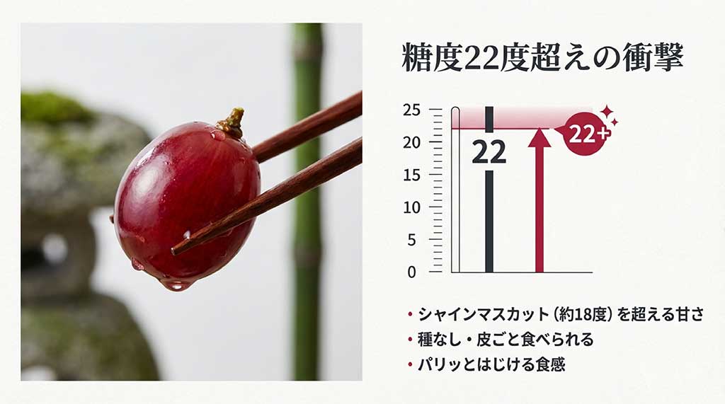 糖度22度超えの衝撃的な甘さと、皮ごと食べられる特徴を説明するグラフと画像