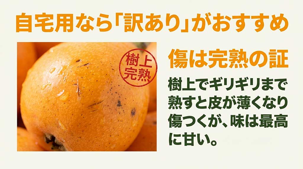 樹上の傷は完熟の証!自宅用におすすめな「訳あり」びわの解説