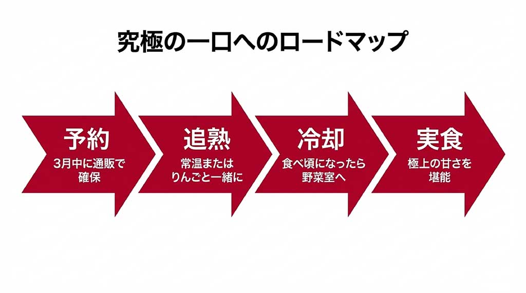 3月中の予約、常温またはりんごでの追熟、食べ頃での冷却、実食という4ステップの購入フロー図