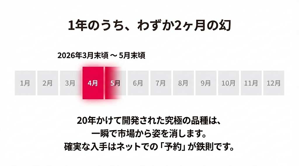 2026年3月末から5月末までの約2ヶ月間限定の販売スケジュールを示すタイムライン図