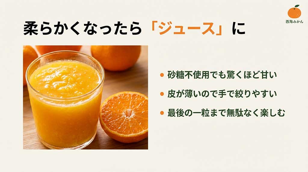砂糖不使用でも甘い西海みかんの生搾りジュース。皮が薄いため手で絞りやすく、最後の一粒まで楽しめることを紹介