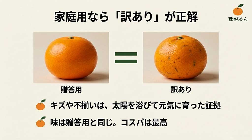 綺麗な贈答用みかんと、キズや不揃いがある訳ありみかんの比較。キズは太陽を浴びた証拠で、味は贈答用と同じであることを説明