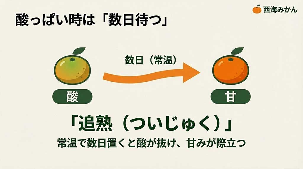 常温で数日置くことで酸が抜け、甘みが際立つ「追熟」のプロセスを説明するイラスト