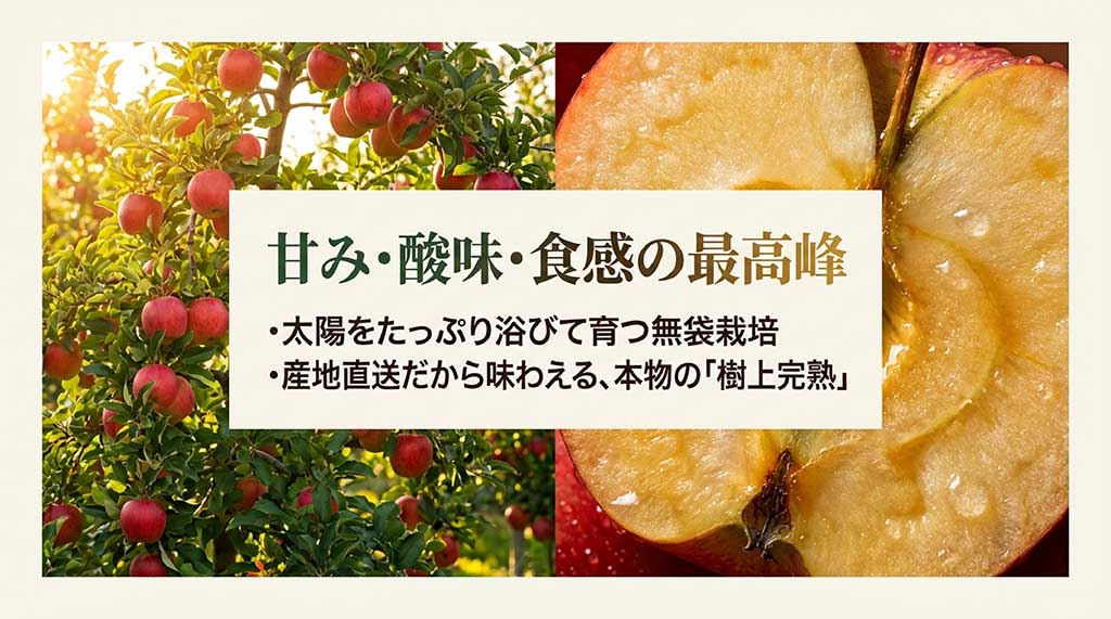 サンふじの3大特徴（甘み・酸味・食感）と、太陽を浴びる無袋栽培、産地直送の樹上完熟について説明するスライド