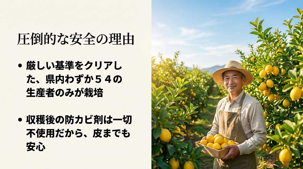 厳しい基準をクリアした54の生産者のみが栽培し、収穫後の防カビ剤を一切使用していないことを説明するスライド。レモンを持つ生産者の写真付き