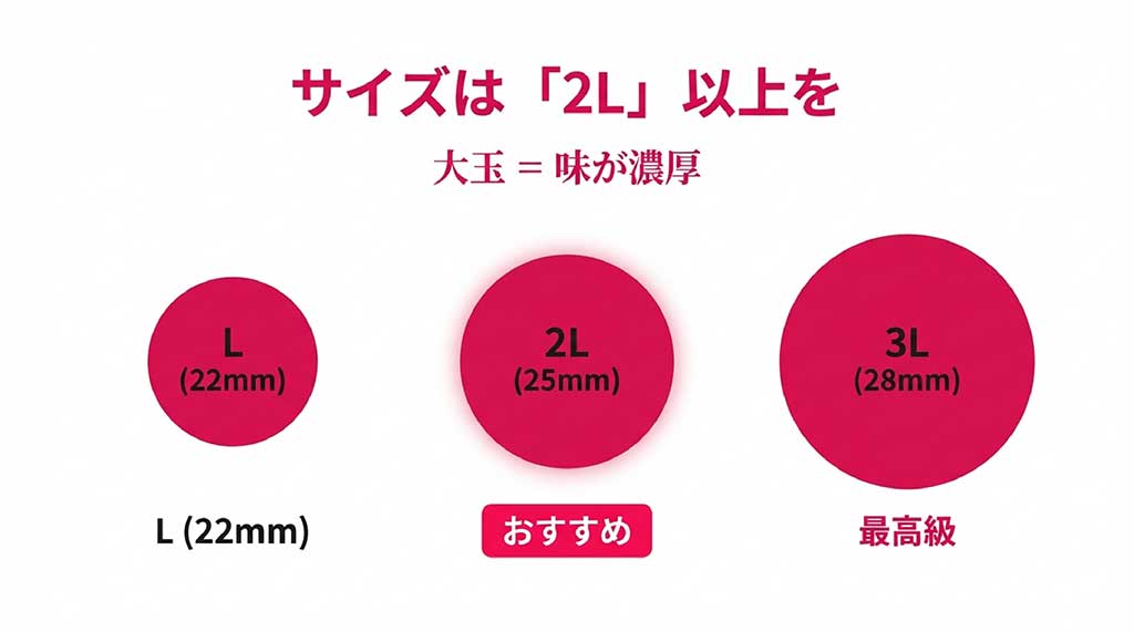 さくらんぼのサイズ（22mm、25mm、28mm）の比較と、大玉が味が濃厚であることの解説