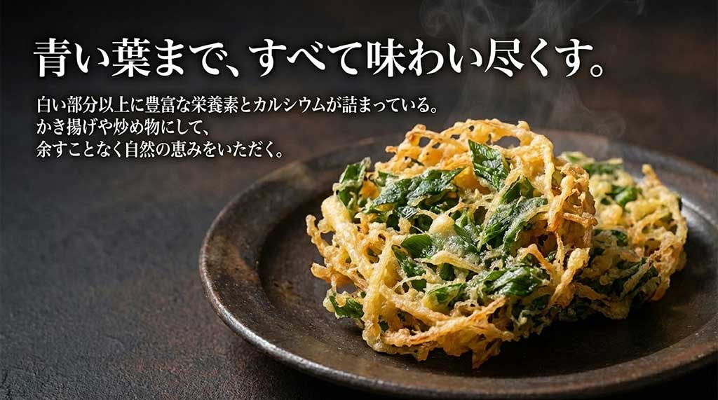 白い部分以上に豊富な栄養素とカルシウムが詰まっている青い葉を味わい尽くす方法