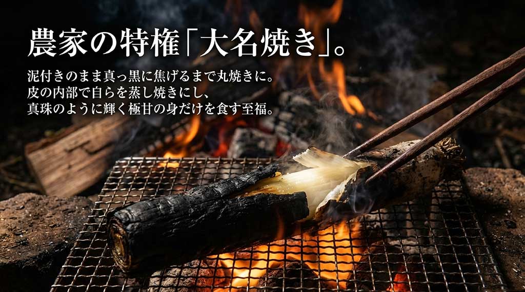 泥付きのまま真っ黒に焦げるまで丸焼きにし、極甘の身だけを食す「大名焼き」の解説