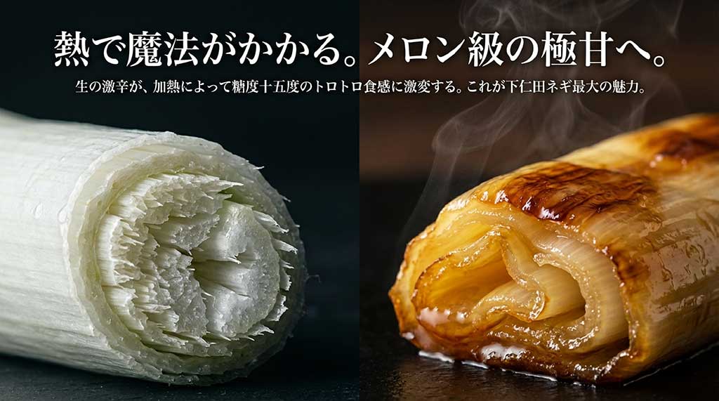 生の激辛が、加熱によって糖度十五度のトロトロ食感に激変するという解説