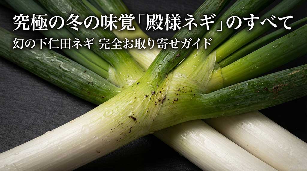 究極の冬の味覚「殿様ネギ」のすべてを解説するスライドの表紙