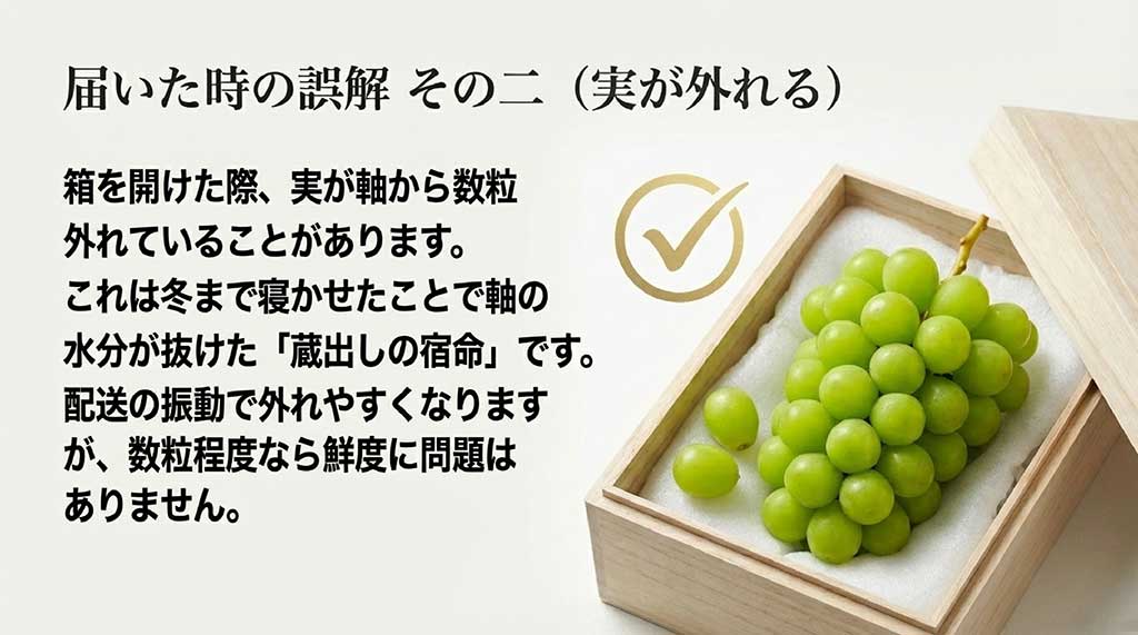 配送中に実が軸から外れるのは「蔵出しの宿命」であり、数粒程度なら鮮度に問題ないことを説明するスライド