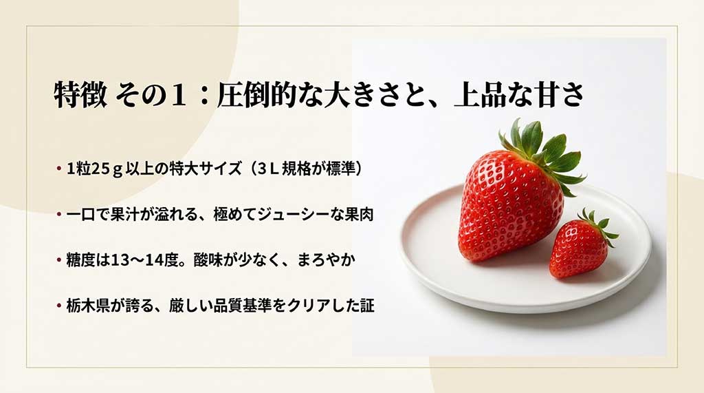 1粒25g以上の特大サイズ、ジューシーな果肉、糖度13〜14度で酸味が少ないというスカイベリーの品質基準を説明する図解