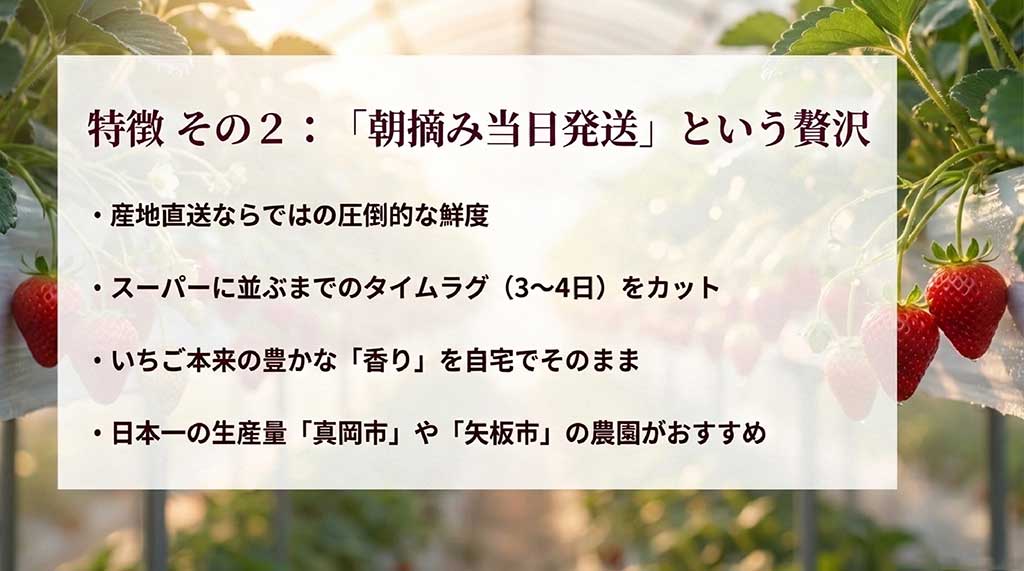 朝摘み当日発送による圧倒的な鮮度と、真岡市や矢板市などの推奨農園について説明するスライド