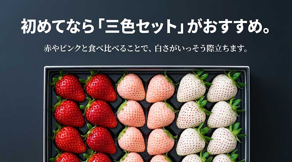 赤・ピンク・白のいちごを詰め合わせ、白さを際立たせた三色食べ比べセット