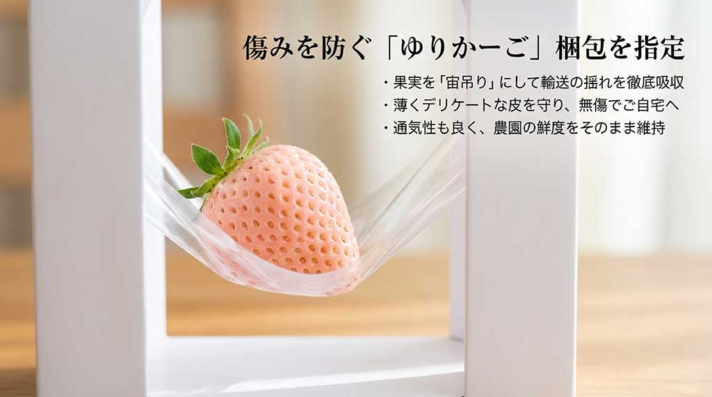いちごを宙吊りにして輸送の衝撃を吸収し、傷みを防ぐゆりかーご梱包の解説