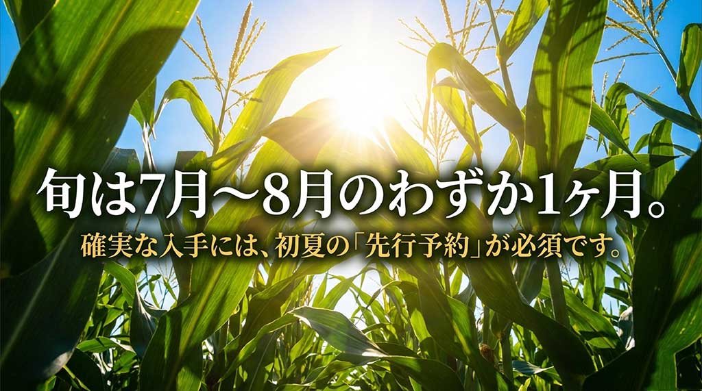 旬は7月から8月の1ヶ月間。確実に入手するための先行予約の重要性を示す画像