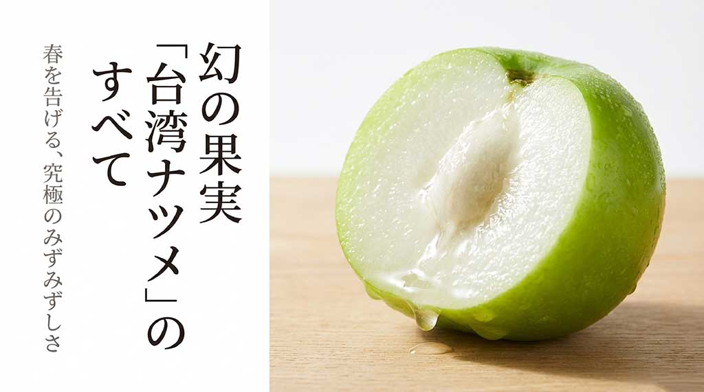 台湾ナツメ（インドナツメ）の魅力を紹介するスライドの表紙