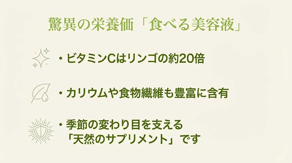 ビタミンCがリンゴの約20倍含まれるなど、台湾ナツメの栄養成分を解説した図