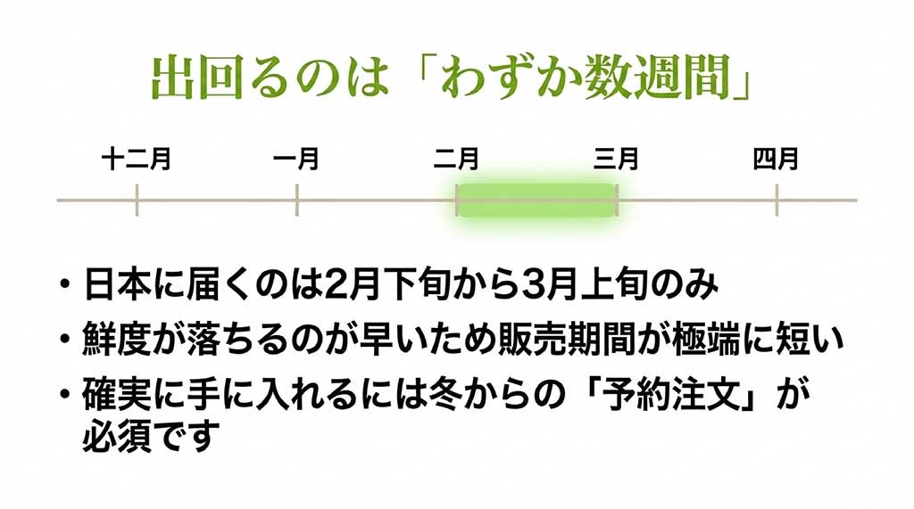 日本で台湾ナツメが手に入る2月下旬から3月上旬の時期を示したカレンダー