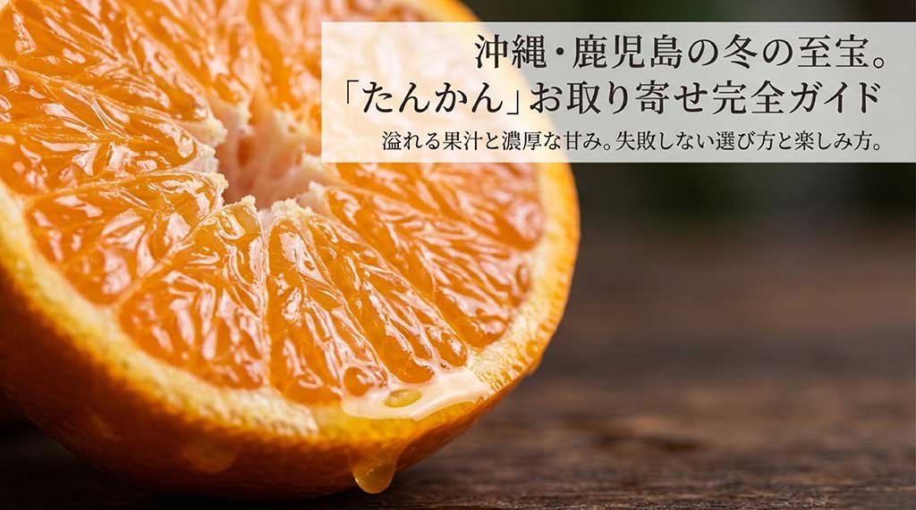 沖縄・鹿児島の冬の至宝「たんかん」お取り寄せ完全ガイドの表紙画像