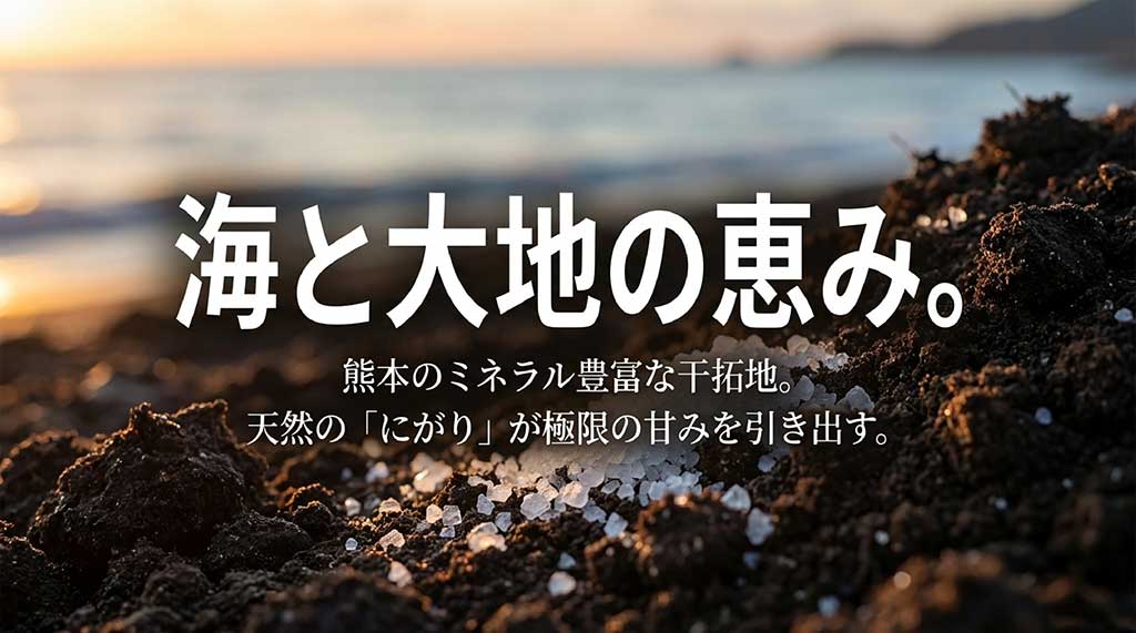 ミネラル豊富な熊本の干拓地と天然の「にがり」を活用して極限の甘みを引き出す仕組み