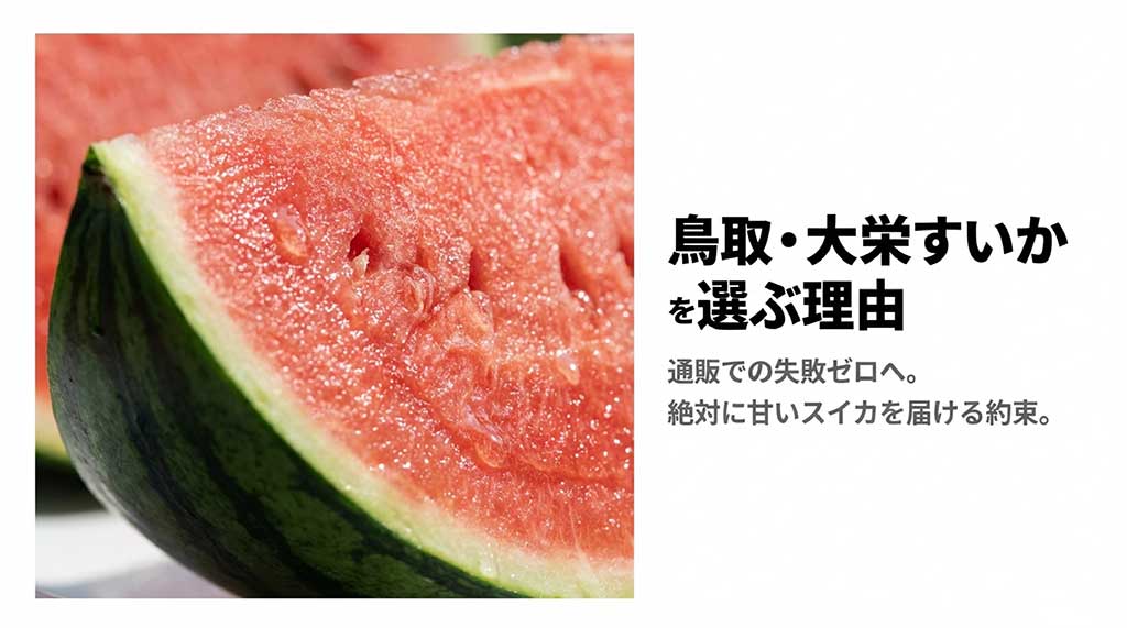 糖度13度を保証する鳥取県産大栄すいかのメインビジュアル