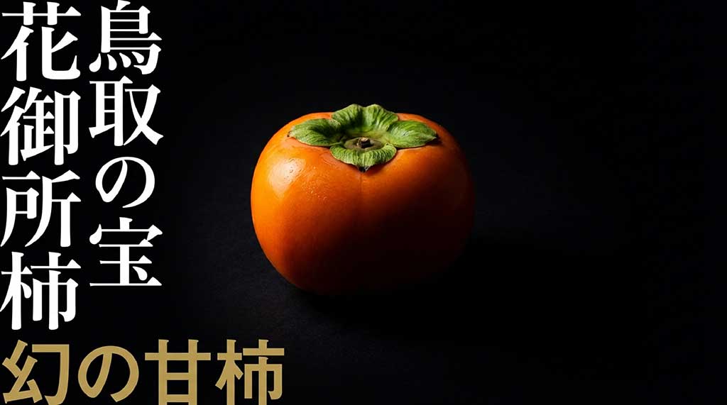 鳥取の宝、幻の甘柿「花御所柿」のタイトル画像