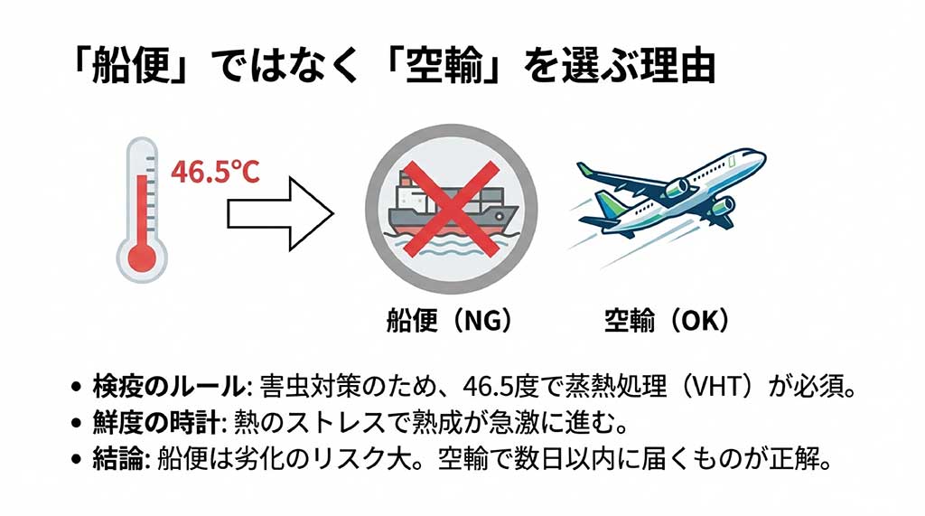検疫のための蒸熱処理($46.5^{\circ}C$)による鮮度劣化リスクと、鮮度を保つための空輸の必要性を説明したスライド