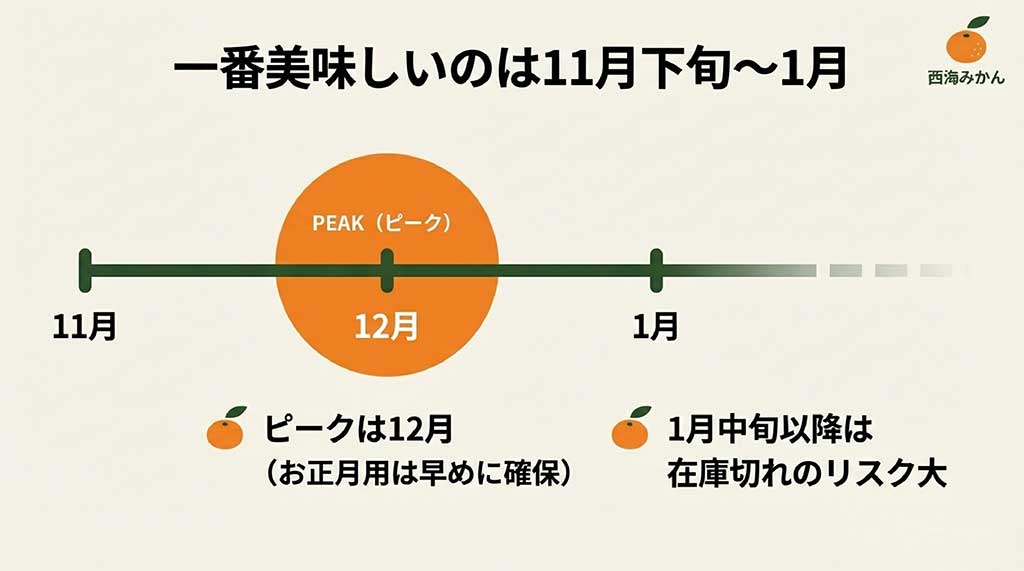 西海みかんの旬は11月下旬から1月で、ピークは12月であることを示すカレンダー形式のスケジュール表。1月中旬以降は在庫切れのリスクがある