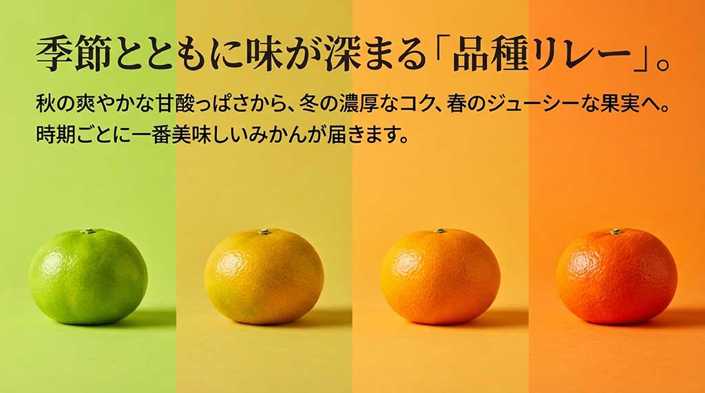 秋の爽やかな甘酸っぱさから冬の濃厚なコクへ、時期ごとに最適な品種を届ける品種リレー