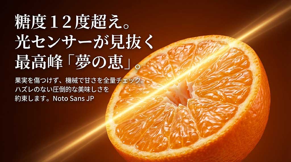 糖度12度以上を光センサーで厳選した、ハズレのない最高峰ブランド「夢の恵」の紹介